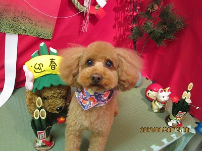 ファイル 6060-2.jpg