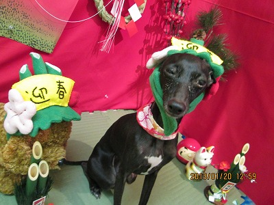 ファイル 6061-1.jpg