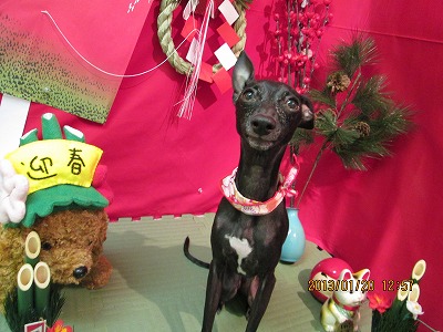 ファイル 6061-2.jpg