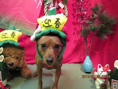 ファイル 6062-1.jpg