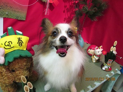 ファイル 6063-1.jpg