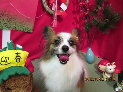 ファイル 6063-2.jpg