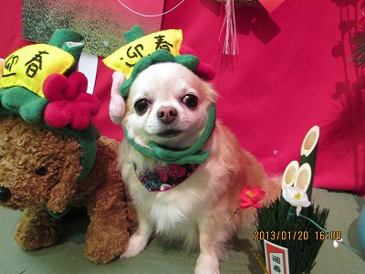 ファイル 6064-1.jpg