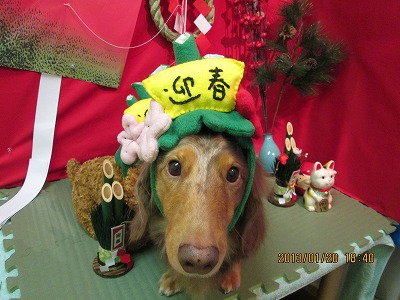 ファイル 6065-1.jpg