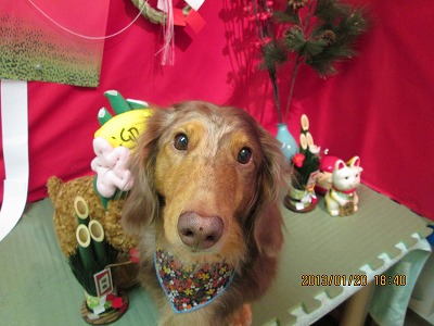 ファイル 6065-2.jpg