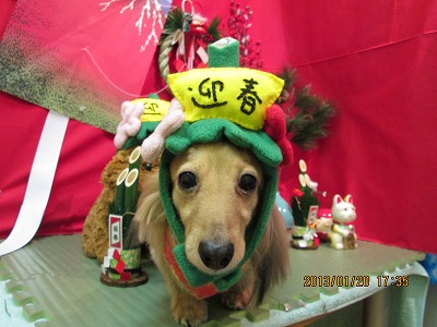 ファイル 6066-1.jpg