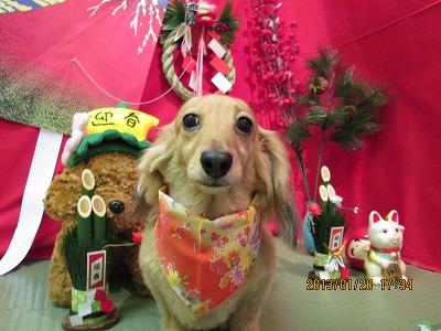 ファイル 6066-2.jpg