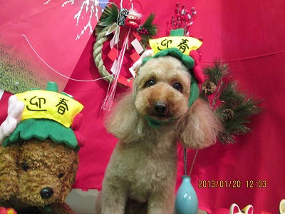 ファイル 6067-1.jpg