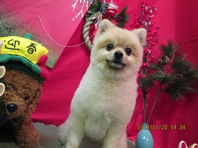 ファイル 6068-2.jpg