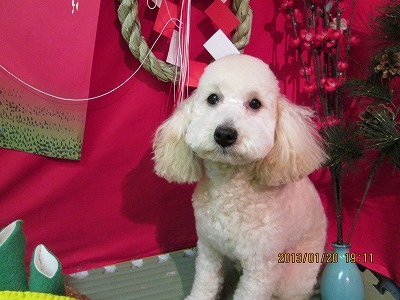 ファイル 6069-1.jpg