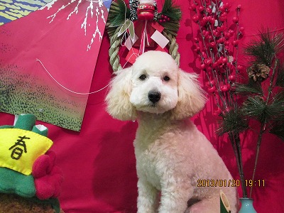 ファイル 6069-2.jpg