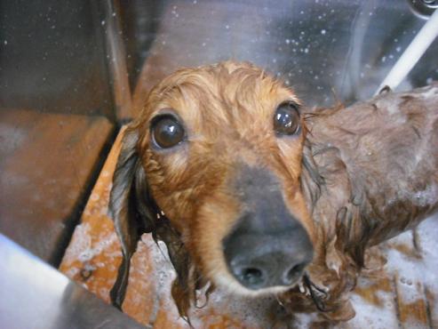 ファイル 607-2.jpg