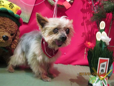 ファイル 6070-1.jpg