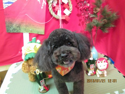 ファイル 6071-1.jpg