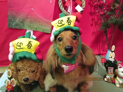 ファイル 6072-1.jpg