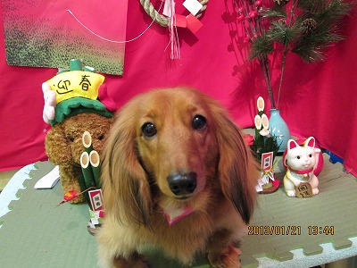 ファイル 6072-2.jpg