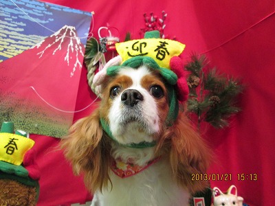 ファイル 6073-1.jpg