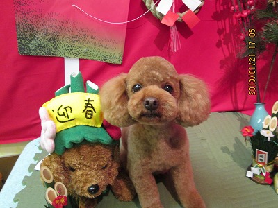 ファイル 6074-2.jpg