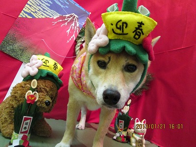 ファイル 6075-1.jpg