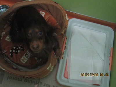 ファイル 6077-2.jpg