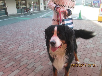 ファイル 6079-2.jpg