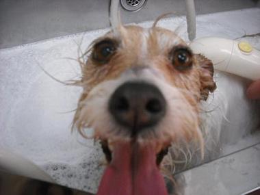 ファイル 608-2.jpg