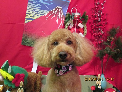 ファイル 6081-1.jpg