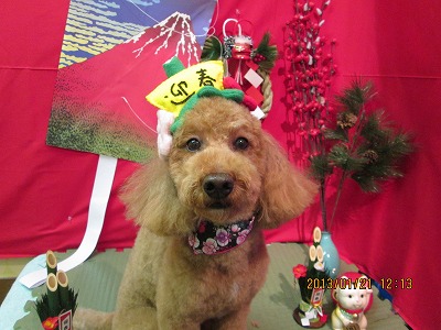 ファイル 6081-2.jpg