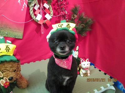 ファイル 6082-2.jpg