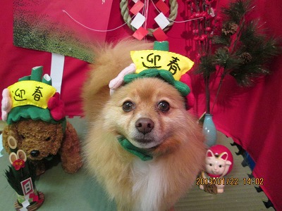 ファイル 6083-1.jpg