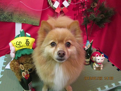 ファイル 6083-2.jpg