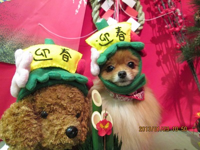 ファイル 6084-1.jpg