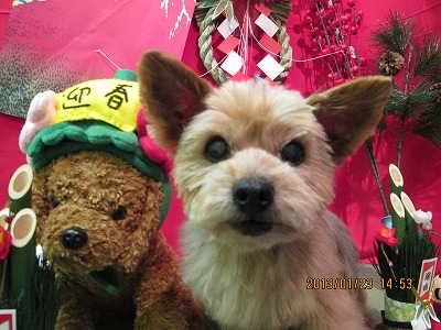 ファイル 6085-1.jpg