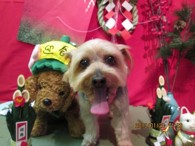 ファイル 6086-1.jpg