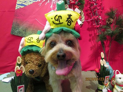 ファイル 6086-2.jpg