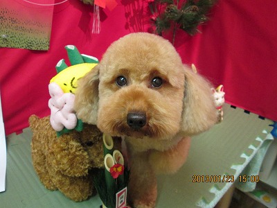 ファイル 6087-2.jpg