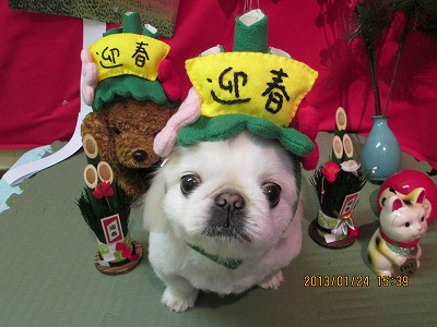 ファイル 6088-1.jpg