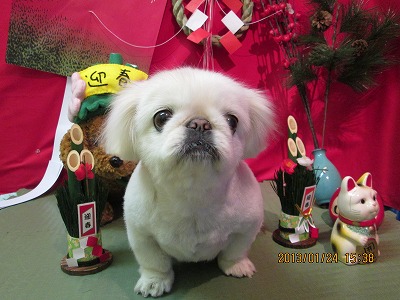 ファイル 6088-2.jpg