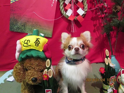 ファイル 6089-2.jpg