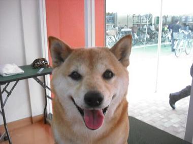 ファイル 609-1.jpg