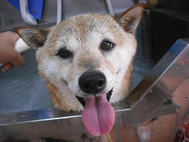 ファイル 609-3.jpg