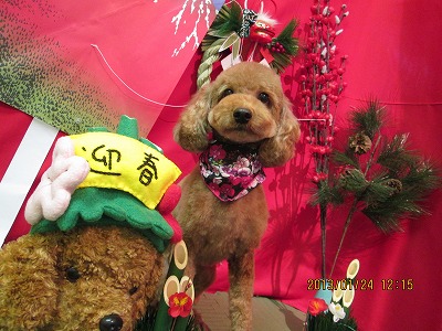 ファイル 6090-1.jpg