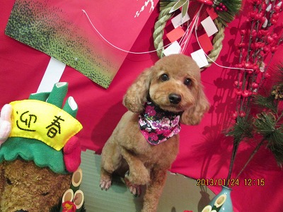 ファイル 6090-2.jpg