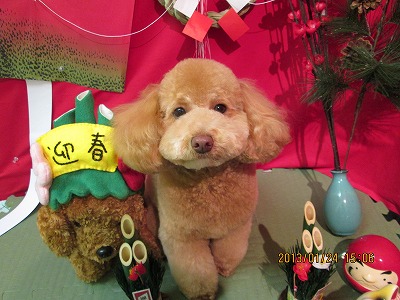 ファイル 6091-2.jpg