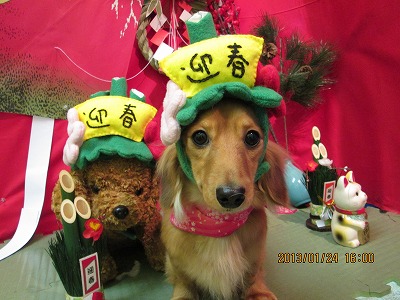 ファイル 6092-1.jpg