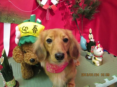 ファイル 6092-2.jpg