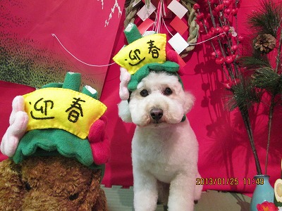 ファイル 6094-1.jpg