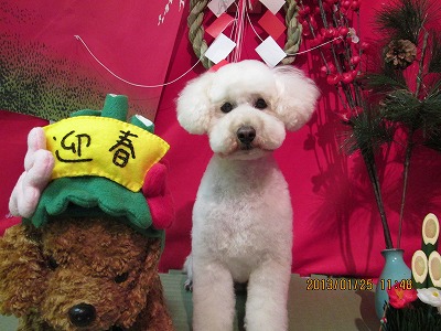 ファイル 6094-2.jpg