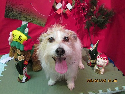 ファイル 6095-2.jpg