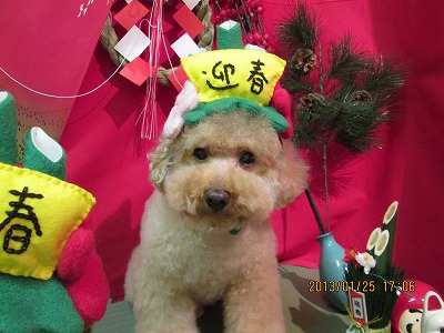 ファイル 6097-1.jpg